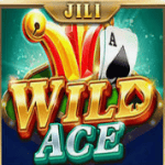 slot gacor Wild Ace