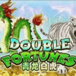 slot gacor Double Fortune