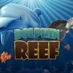 Dolphin Reef